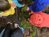 IMG-20210915-WA0018