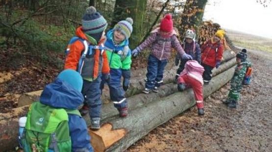 Mehrere Kinder in warmer Kleidung balancieren über Baumstämme